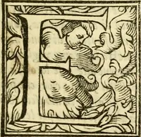 An illustration from Istoria de' suoi tempi di Giovambatista Adriani : gentilhumo fiorentino. Diuisa in libri ventidue. Di nuovo mandata in luce. Con li sommarii, e tavola, e le postille in margine delle cose più notabili, che in esse istorie si contengono (1587)