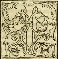 An illustration from Istoria de' suoi tempi di Giovambatista Adriani : gentilhumo fiorentino. Diuisa in libri ventidue. Di nuovo mandata in luce. Con li sommarii, e tavola, e le postille in margine delle cose più notabili, che in esse istorie si contengono (1587)