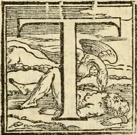 An illustration from Istoria de' suoi tempi di Giovambatista Adriani : gentilhumo fiorentino. Diuisa in libri ventidue. Di nuovo mandata in luce. Con li sommarii, e tavola, e le postille in margine delle cose più notabili, che in esse istorie si contengono (1587)
