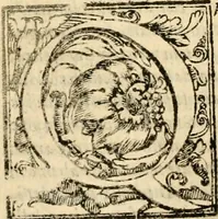 An illustration from Istoria de' suoi tempi di Giovambatista Adriani : gentilhumo fiorentino. Diuisa in libri ventidue. Di nuovo mandata in luce. Con li sommarii, e tavola, e le postille in margine delle cose più notabili, che in esse istorie si contengono (1587)