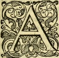 An illustration from Istoria de' suoi tempi di Giovambatista Adriani : gentilhumo fiorentino. Diuisa in libri ventidue. Di nuovo mandata in luce. Con li sommarii, e tavola, e le postille in margine delle cose più notabili, che in esse istorie si contengono (1587)