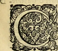 An illustration from Istoria de' suoi tempi di Giovambatista Adriani : gentilhumo fiorentino. Diuisa in libri ventidue. Di nuovo mandata in luce. Con li sommarii, e tavola, e le postille in margine delle cose più notabili, che in esse istorie si contengono (1587)
