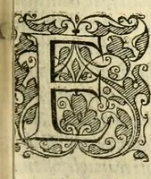 An illustration from Istoria de' suoi tempi di Giovambatista Adriani : gentilhumo fiorentino. Diuisa in libri ventidue. Di nuovo mandata in luce. Con li sommarii, e tavola, e le postille in margine delle cose più notabili, che in esse istorie si contengono (1587)