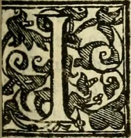 An illustration from Istoria de' suoi tempi di Giovambatista Adriani : gentilhumo fiorentino. Diuisa in libri ventidue. Di nuovo mandata in luce. Con li sommarii, e tavola, e le postille in margine delle cose più notabili, che in esse istorie si contengono (1587)