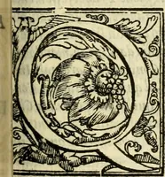 An illustration from Istoria de' suoi tempi di Giovambatista Adriani : gentilhumo fiorentino. Diuisa in libri ventidue. Di nuovo mandata in luce. Con li sommarii, e tavola, e le postille in margine delle cose più notabili, che in esse istorie si contengono (1587)