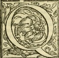 An illustration from Istoria de' suoi tempi di Giovambatista Adriani : gentilhumo fiorentino. Diuisa in libri ventidue. Di nuovo mandata in luce. Con li sommarii, e tavola, e le postille in margine delle cose più notabili, che in esse istorie si contengono (1587)