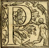 An illustration from Istoria de' suoi tempi di Giovambatista Adriani : gentilhumo fiorentino. Diuisa in libri ventidue. Di nuovo mandata in luce. Con li sommarii, e tavola, e le postille in margine delle cose più notabili, che in esse istorie si contengono (1587)