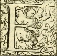 An illustration from Istoria de' suoi tempi di Giovambatista Adriani : gentilhumo fiorentino. Diuisa in libri ventidue. Di nuovo mandata in luce. Con li sommarii, e tavola, e le postille in margine delle cose più notabili, che in esse istorie si contengono (1587)