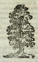 Picture 14 of 49 from Istoria genealogica delle famiglie nobili toscane et umbre (1668), leaf 498