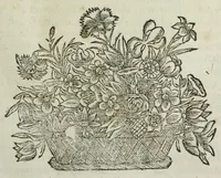 Picture 18 of 49 from Istoria genealogica delle famiglie nobili toscane et umbre (1668), leaf 553