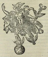 Picture 25 of 49 from Istoria genealogica delle famiglie nobili toscane et umbre (1668), leaf 618