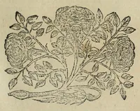 Picture 26 of 49 from Istoria genealogica delle famiglie nobili toscane et umbre (1668), leaf 641
