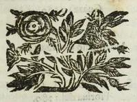 An illustration from Istoria genealogica delle famiglie nobili toscane et umbre (1668)