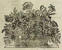 An illustration from Istoria genealogica delle famiglie nobili toscane et umbre (1668)