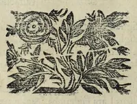 An illustration from Istoria genealogica delle famiglie nobili toscane et umbre (1668)