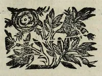 An illustration from Istoria genealogica delle famiglie nobili toscane et umbre (1668)
