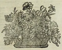 Picture 41 of 49 from Istoria genealogica delle famiglie nobili toscane et umbre (1668), leaf 871