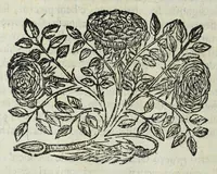An illustration from Istoria genealogica delle famiglie nobili toscane et umbre (1668)