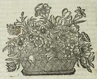 Picture 43 of 49 from Istoria genealogica delle famiglie nobili toscane et umbre (1668), leaf 932