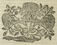 Picture 44 of 49 from Istoria genealogica delle famiglie nobili toscane et umbre (1668), leaf 986