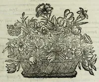Picture 50 of 89 from Istoria genealogica delle famiglie nobili toscane et umbre (1668), leaf 131