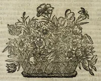 Picture 56 of 89 from Istoria genealogica delle famiglie nobili toscane et umbre (1668), leaf 242
