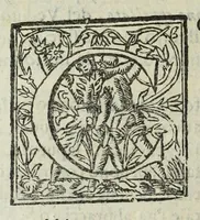 Picture 60 of 89 from Istoria genealogica delle famiglie nobili toscane et umbre (1668), leaf 304