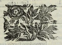 An illustration from Istoria genealogica delle famiglie nobili toscane et umbre (1668)