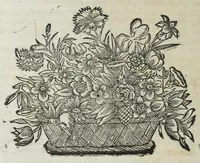 An illustration from Istoria genealogica delle famiglie nobili toscane et umbre (1668)