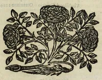 An illustration from Istoria genealogica delle famiglie nobili toscane et umbre (1668)