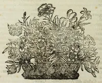 Picture 71 of 89 from Istoria genealogica delle famiglie nobili toscane et umbre (1668), leaf 770