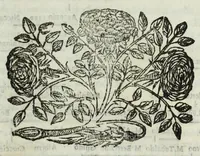 An illustration from Istoria genealogica delle famiglie nobili toscane et umbre (1668)