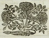 An illustration from Istoria genealogica delle famiglie nobili toscane et umbre (1668)