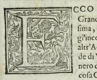 An illustration from Istoria genealogica delle famiglie nobili toscane et umbre (1668)