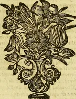 An illustration from Istorica descrittione de' tre regni Congo, Matamba, et Angola : situati nell'Etiopia inferiore occidentale e delle missioni apostoliche esercitateui da religiosi Capuccini (1690)