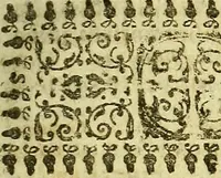 An illustration from Istorica descrittione de' tre regni Congo, Matamba, et Angola : situati nell'Etiopia inferiore occidentale e delle missioni apostoliche esercitateui da religiosi Capuccini (1690)