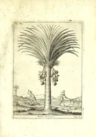 An illustration from Istorica descrizione de' tre' regni Congo, Matamba et Angola : situati nell'Etiopia inferiore occidentale e delle missioni apostoliche esercitateui da religiosi Capuccini (1687)
