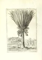 An illustration from Istorica descrizione de' tre' regni Congo, Matamba et Angola : situati nell'Etiopia inferiore occidentale e delle missioni apostoliche esercitateui da religiosi Capuccini (1687)