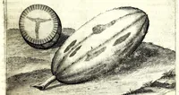 An illustration from Istorica descrizione de' tre' regni Congo, Matamba et Angola : situati nell'Etiopia inferiore occidentale e delle missioni apostoliche esercitateui da religiosi Capuccini (1687)