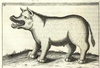 An illustration from Istorica descrizione de' tre' regni Congo, Matamba et Angola : situati nell'Etiopia inferiore occidentale e delle missioni apostoliche esercitateui da religiosi Capuccini (1687)
