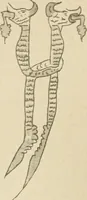 An illustration from Istoricheske ocherki po russkomu ornamentu v rukopisiakh (1917)