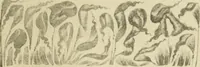 An illustration from Istoricheske ocherki po russkomu ornamentu v rukopisiakh (1917)
