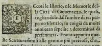 An illustration from Istorie della città di Giouenazzo (1700)
