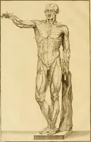 An illustration from Istruzione elementare per gli studiosi della scultura (1802)