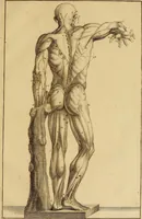 An illustration from Istruzione elementare per gli studiosi della scultura (1802)