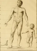 An illustration from Istruzione elementare per gli studiosi della scultura (1802)