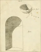 An illustration from Istruzioni elementari per indirizzo de' giovani allo studio dell' architettura civile : divise in libri tre', e dedicate alla maestà infinita di Dio Ottimo Massimo (1760)