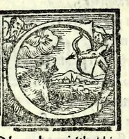 An illustration from I svppositi : comedia (1551)