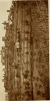 An illustration from Italian castles and country seats (1911)