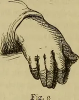 An illustration from Italian masters in German galleries. A critical essay on the Italian pictures in the galleries of Munich, Dresden, Berlin; (1883)